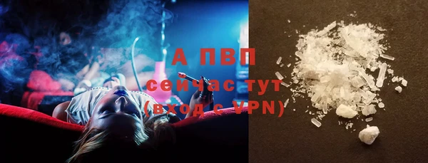 прущие грибы Киренск