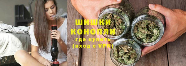 прущие грибы Киренск